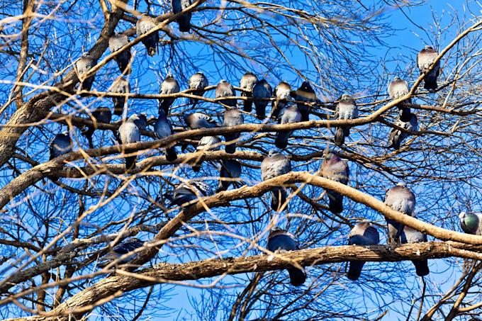 HBR Apr 27 investors